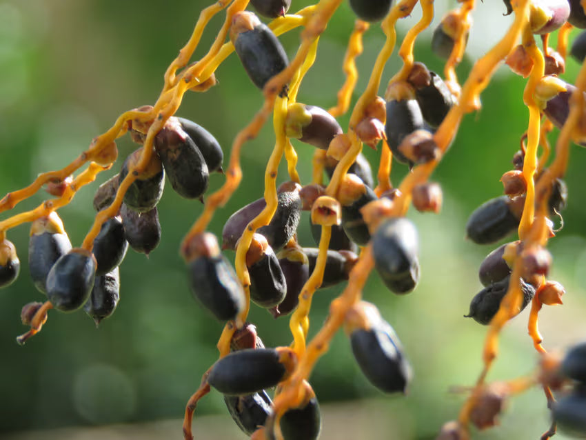 Estilo de vida na era da sustentabilidade